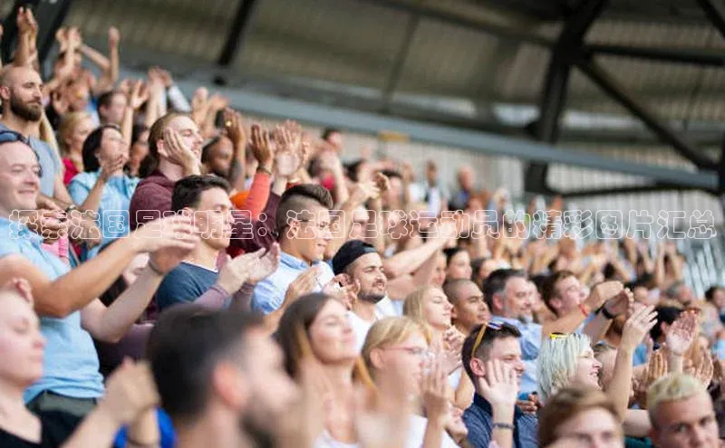 米兰·全站app登录appARGA公司