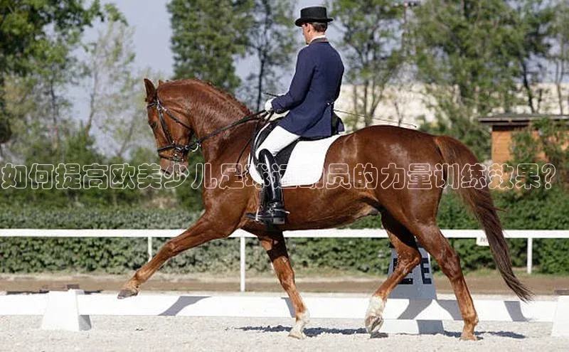 米兰app最新版本下载携程