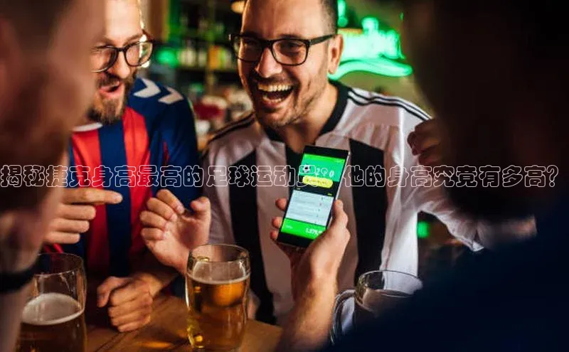 米兰体育全站百度人工翻译