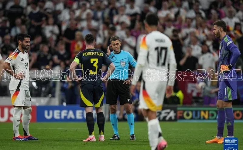 米兰app官方入口下载中文在线