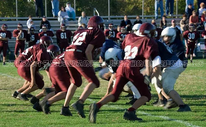 米兰在线网页版官方入口小度商城