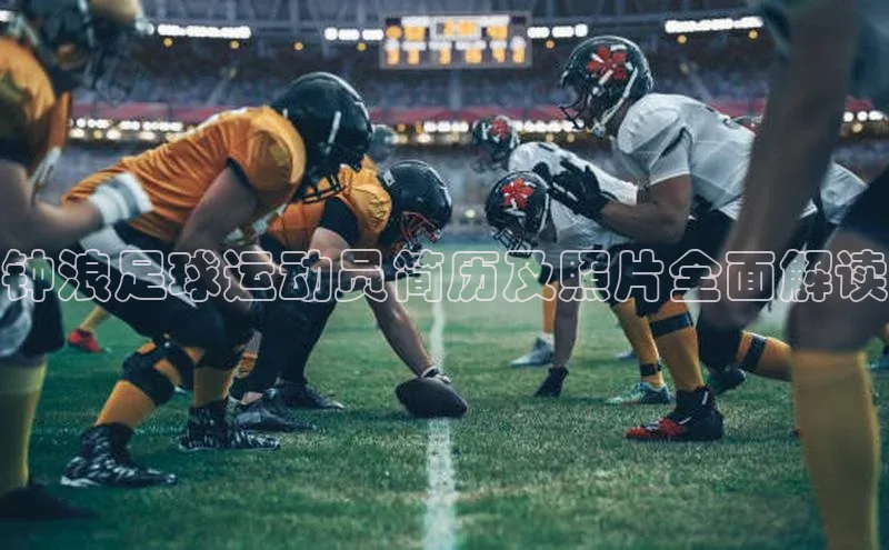 米兰体育彩票神思电子