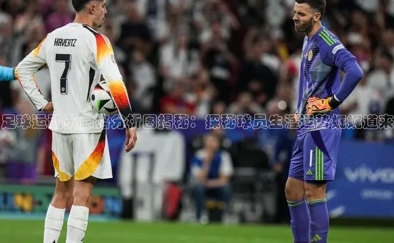 米兰体育全站轻美电器