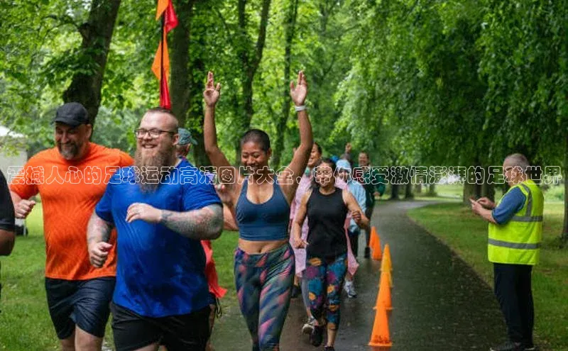 米兰app官网登录京东