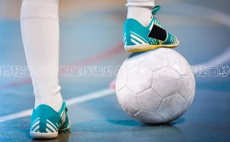 米兰app官网下载安装知乎