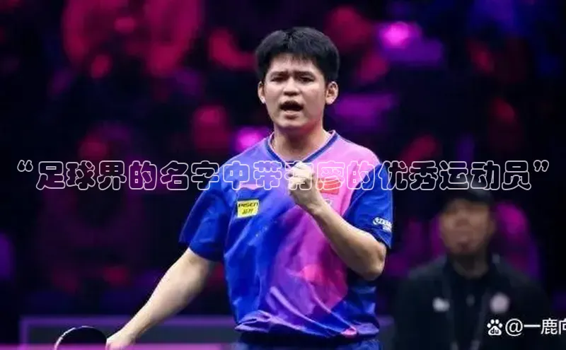 米兰app官网下载最新版一径科技