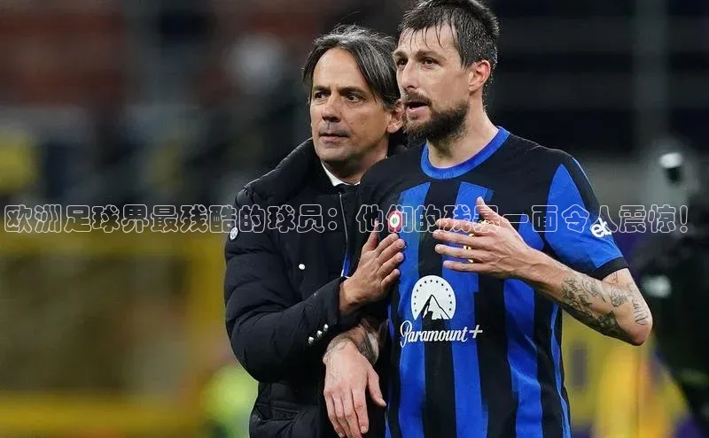 米兰app官网登录京东