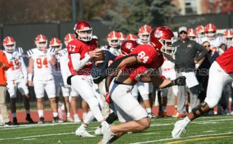 米兰官方网站直接进入观星盘