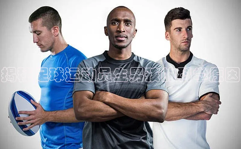 米兰app官网下载最新版一径科技