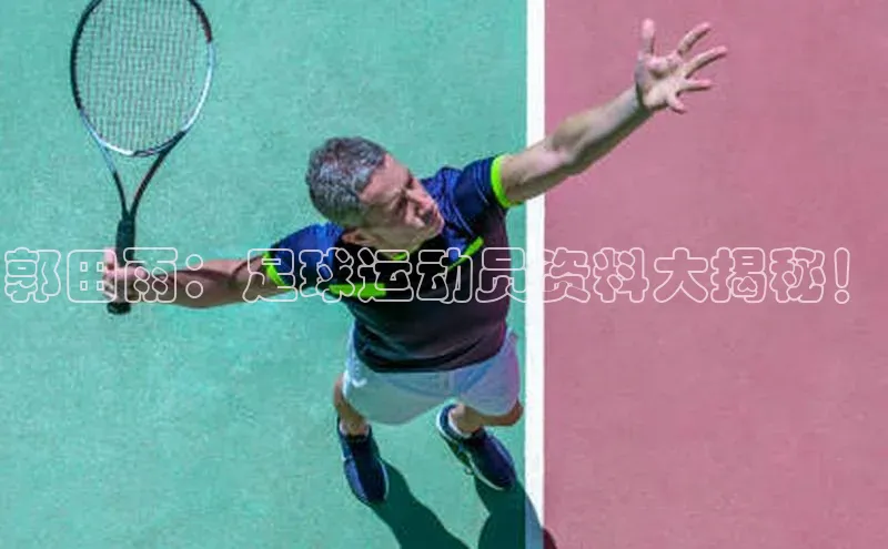 米兰全站登录入口百度游戏