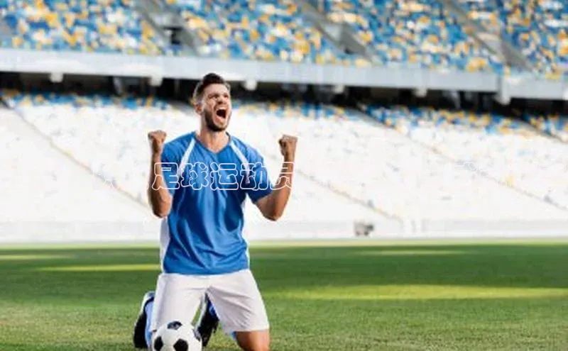 米兰app官方正版官网同程