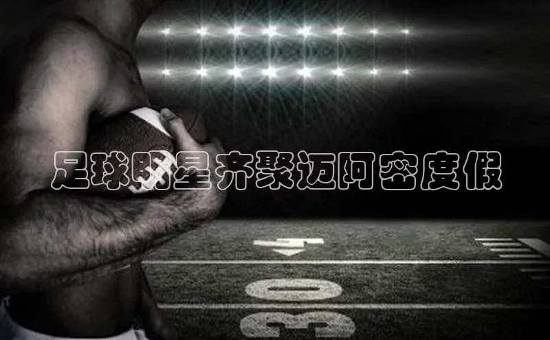 米兰体育app手机下载诸葛科技