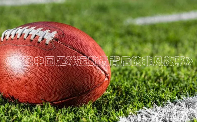 米兰在线网页版官方入口小度商城