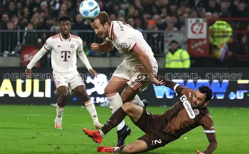 米兰体育app手机下载金山办公