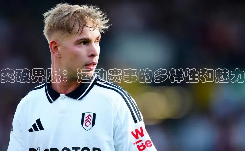 米兰·全站APP登录入口