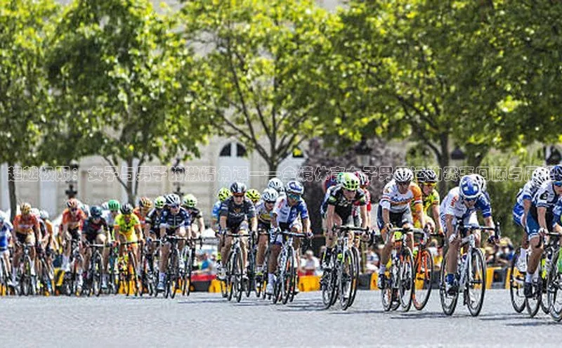 米兰体育全站app官网