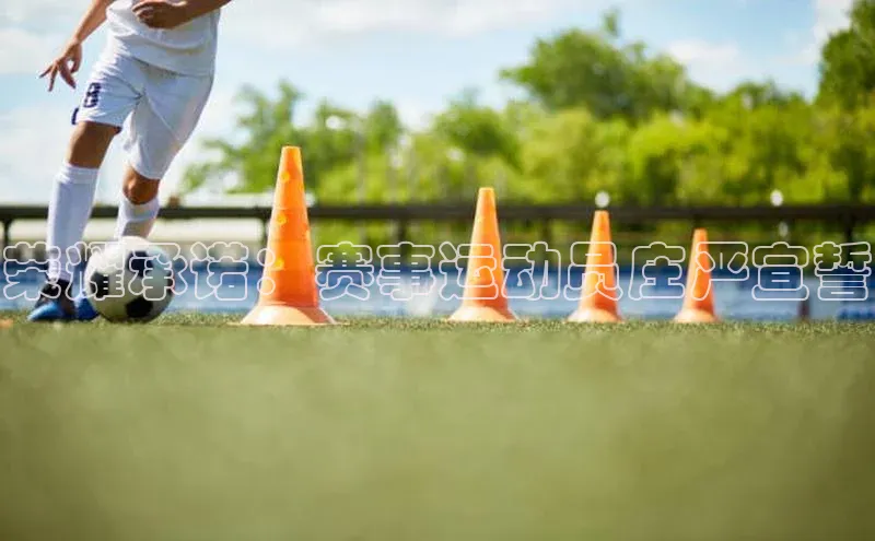 米兰app官方正版官网