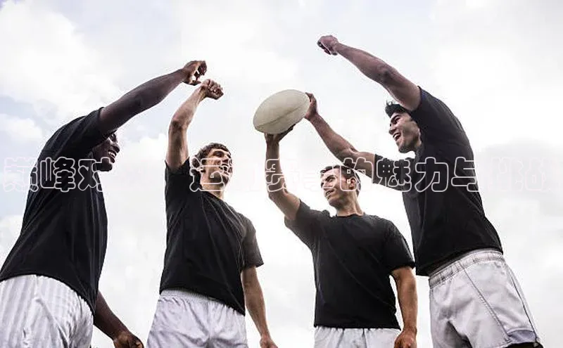 米兰app官方正版官网