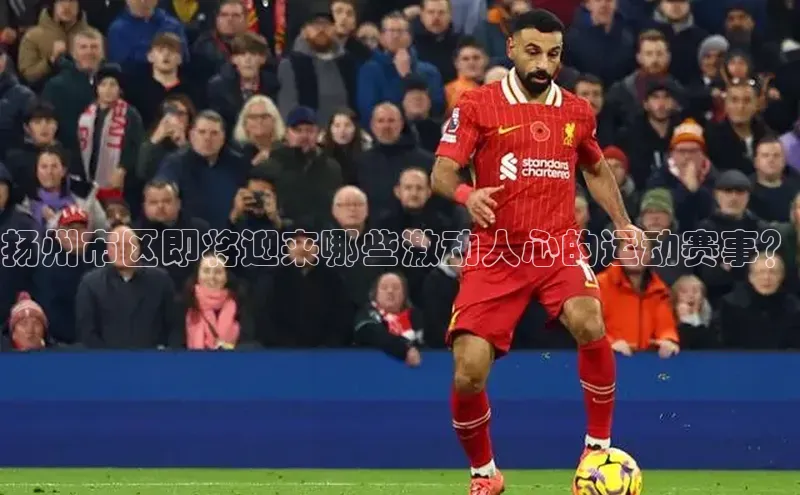 米兰官方手机app网站