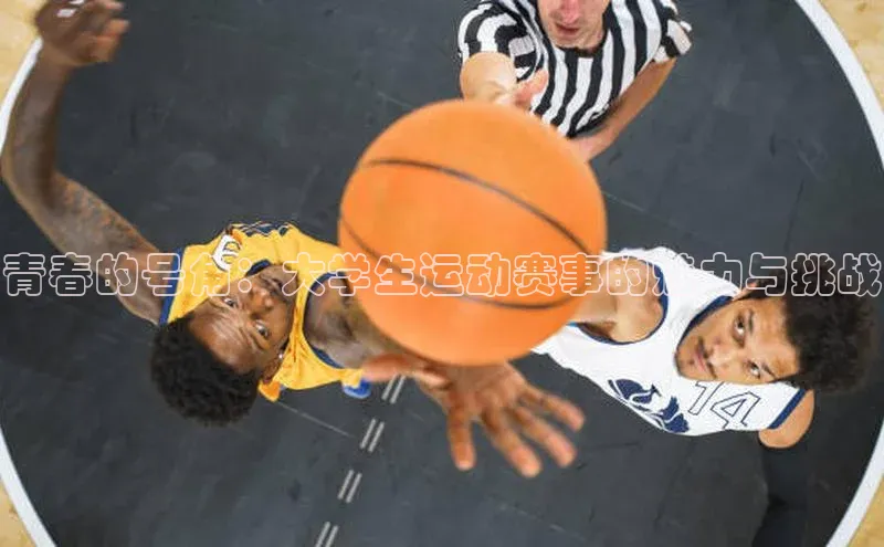 米兰·全站APP登录入口